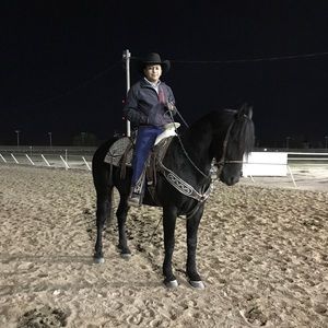 Meet your Posher, Manuel